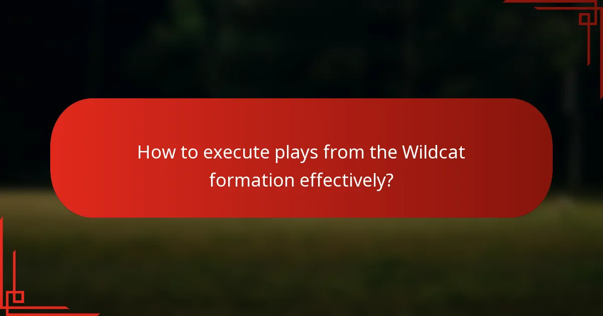 How to execute plays from the Wildcat formation effectively?