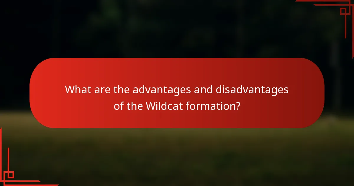 What are the advantages and disadvantages of the Wildcat formation?