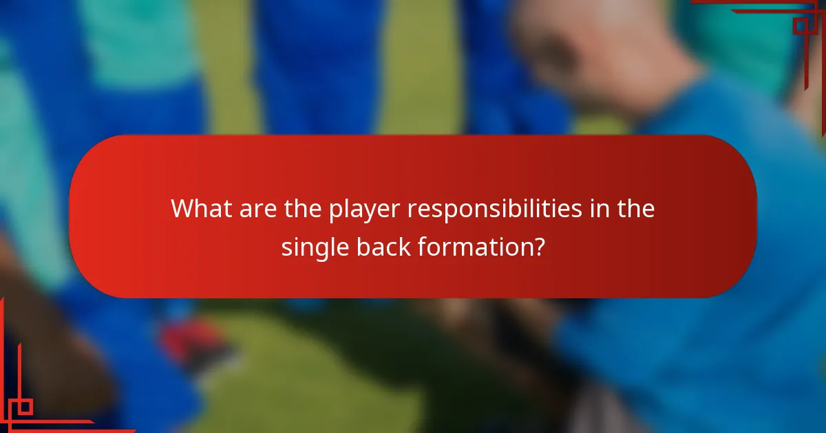 What are the player responsibilities in the single back formation?