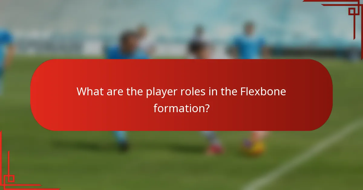 What are the player roles in the Flexbone formation?
