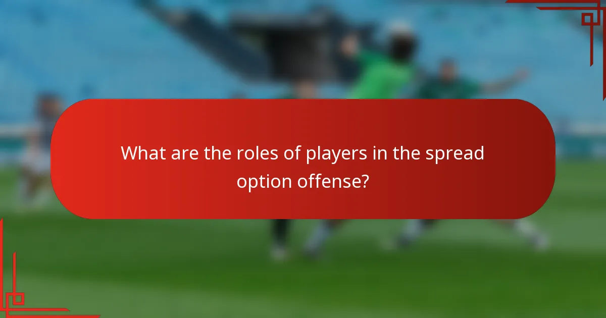What are the roles of players in the spread option offense?